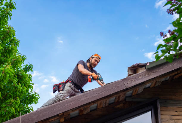 Steel Roofing in Mountain Home, AR