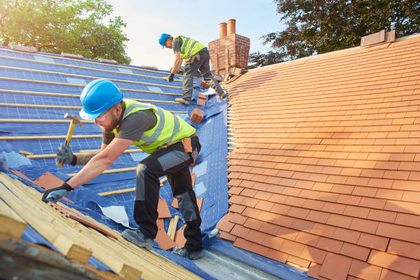 Best Roof Insulation Installation  in Mountain Home, AR